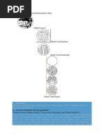 Download Ada Beberapa Teknik Dalam Metode Goresan by ppyafrina SN231075001 doc pdf