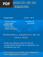 Adaptacion de las especies