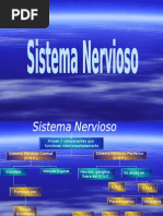 El Sistema Nervioso Real