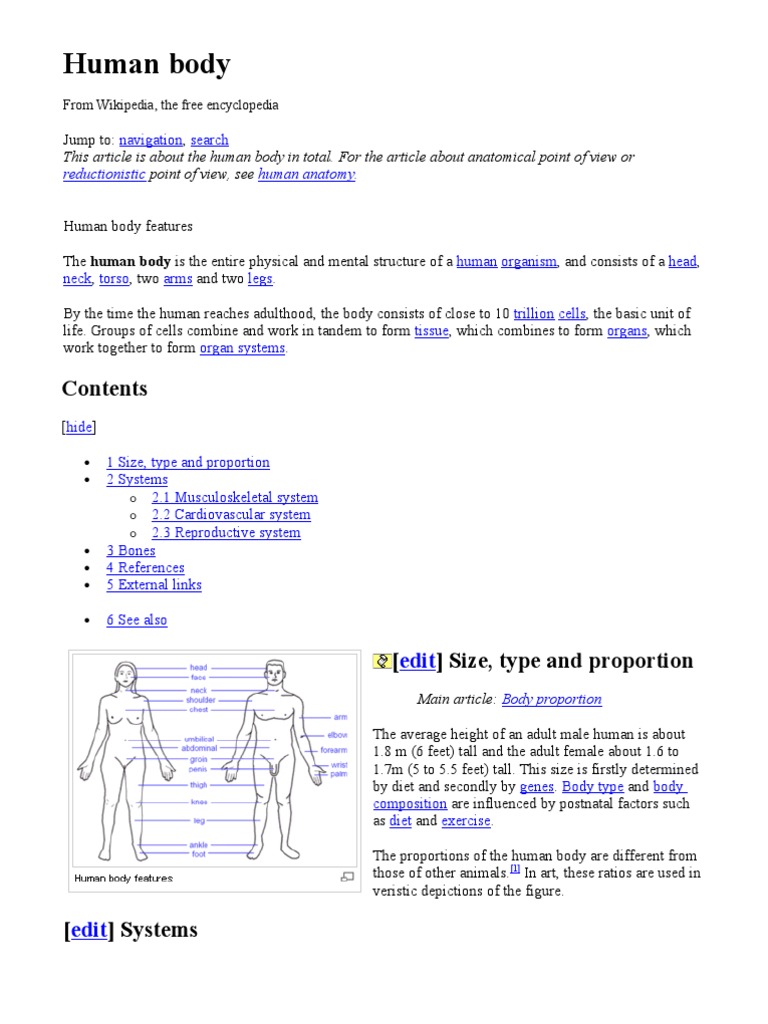 Human Body | PDF | Pathology | Medicine