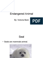 Endangered Animal[1]