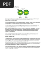 Gas Exchange in Plants