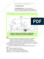 Procesul de Hemostaza