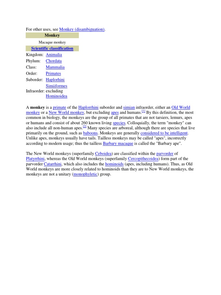 Scientific Classification Monkey PDF
