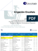 Irrigacion Encefalo (2.0) PDF