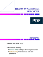 Consumer Behaviour Theory Concepts