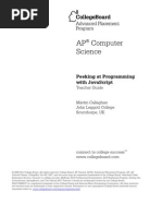 Ap08 Cs PeekingatProgramming TG