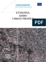 Ethiopia: Ambo Urban Profile