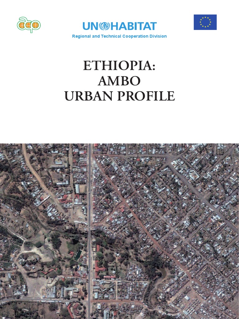 Ethiopia: Ambo Urban Profile | PDF | Ethiopia | Swot Analysis