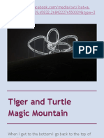 Tiger and Turtle Magic Mountain