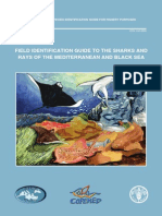 Field Identification Guide To The Sharks and Rays of The Mediterranean and Black Sea