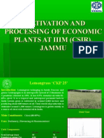 Cultivation and Processing of Economic Plants at Iiim (Csir), Jammu