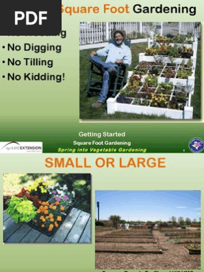 4 Spring Into Vegetable Garden
