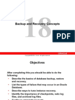 Backup Recovery Concepts