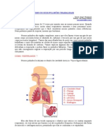 Como Os Seus Pulmões Trabalham
