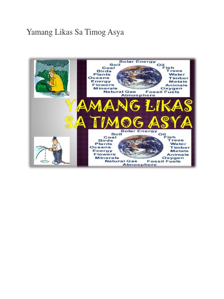 Yamang Likas Sa Timog Asya | PDF