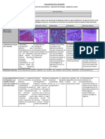 Taller Patología Lab 1