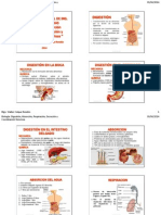 Digestion Absorcion Respiracion