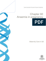 SA Anemia Pregnancy