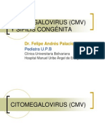 citomegaloviruscmvysfiliscongnita-110621183347-phpapp01