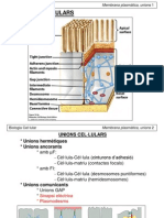 4 FBMC Mb. Plasmàtica Unions