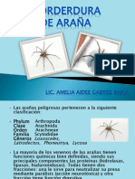 Morderua de Araña