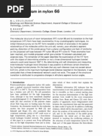 Polymorphism in Nylon 66