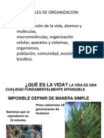 Semana 6 - Niveles de Organización