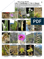 De Paula Et Al. 2012. Plantas Saxicolas Vale Do Mucuri PDF