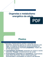 Capítulo 9 Organelas e Metabolismo Energético Da Célula