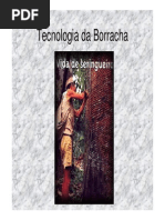 Microsoft PowerPoint - Borracha