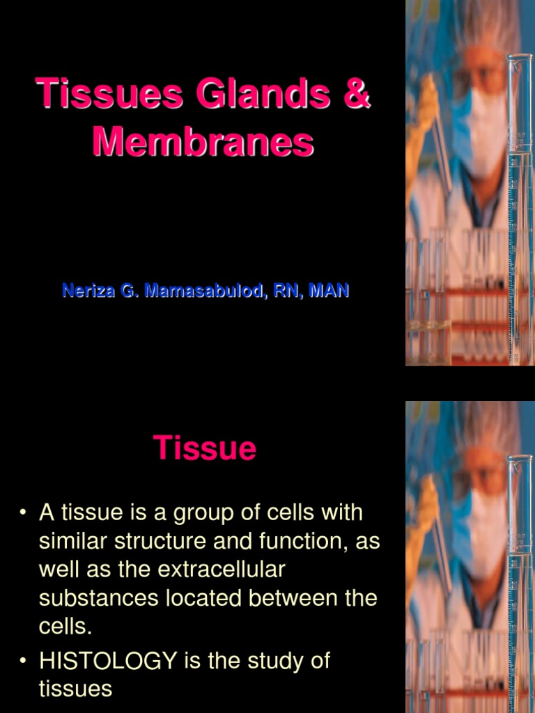 Tissues, Glands, and Membranes Overview | PDF | Science & Mathematics