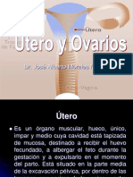 Utero y Ovarios Anatomia