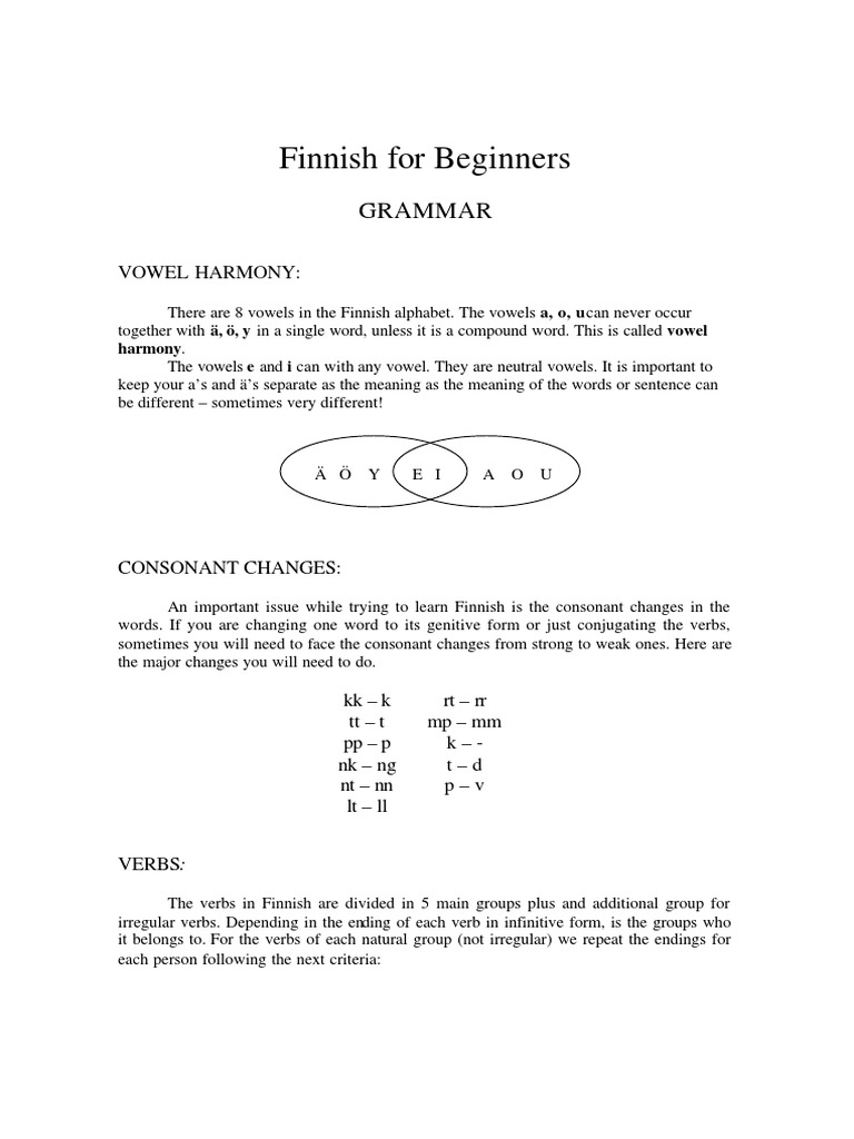 Finnish Grammar Essentials for Beginners | PDF | Adjective | Linguistic ...