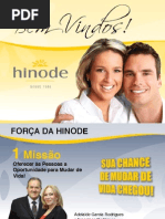 Apresentacao Do Negocio Hinode 1