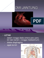 anatomi-jantung.ppt