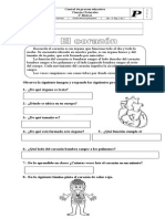 2° - Guia Naturaleza-Los Organos