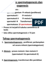 22 - Spermatogenesisdan Oogenesis