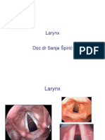 Larynx 1