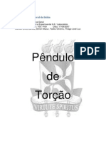 Relatório Física II - Pêndulo de Torção