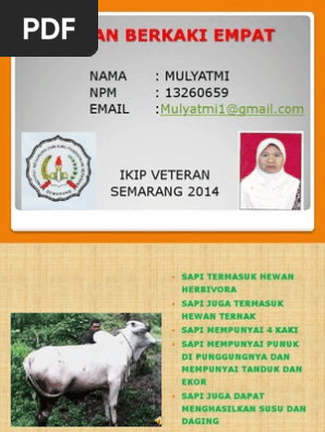 9100 Download Gambar Hewan Berkaki Empat HD Terbaru