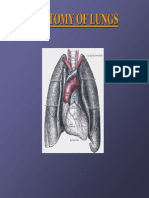 Lung Anatomy Guide: Structures, Lobes, and Segments