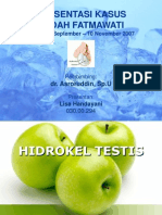 HIDROKEL TESTIS