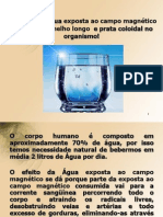 Funcao Da Agua Exposta Ao Campo Magnetico Com IVL