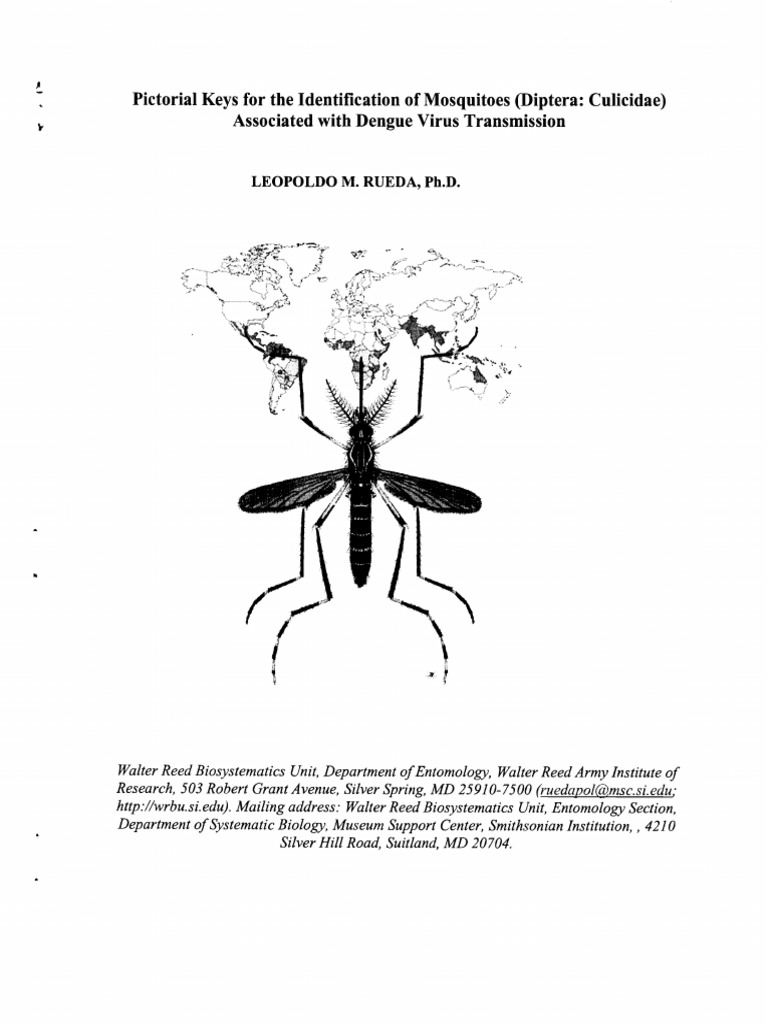 Identification Keys PDF Mosquito Aedes Aegypti