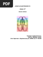 Módulo 07 - Terapia de Cura Prânica