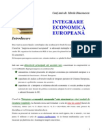 Suport Curs ID Interg Ec Eur 2013 v4