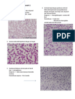 Abnormalitas Sel Darah 1