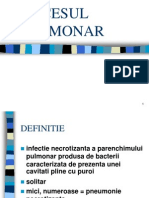 Abcesul Pulmonar VLN