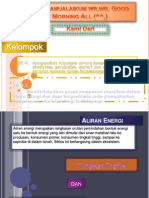 Tugas Biologi KD 4.1 Aliran Energi - Tingkat Trofik & Rantai Makanan